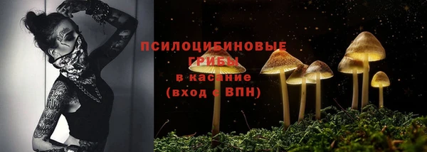 сатива Армянск