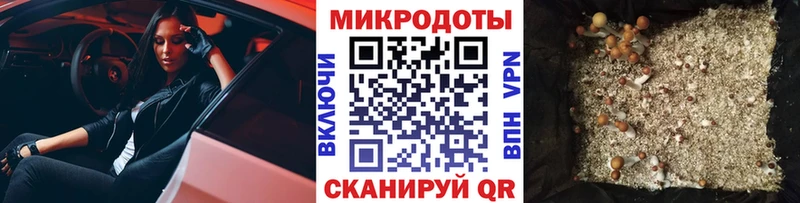 где можно купить наркотик  Судак  Псилоцибиновые грибы Cubensis 